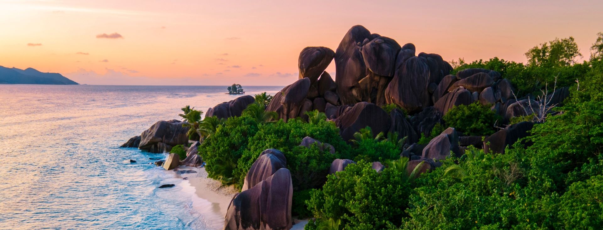 Rocks and trees along beach shoreline